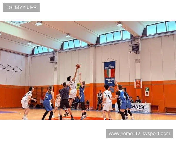 篮球运动在中国城市短期体育培训市场中的发展路径，篮球行业现状