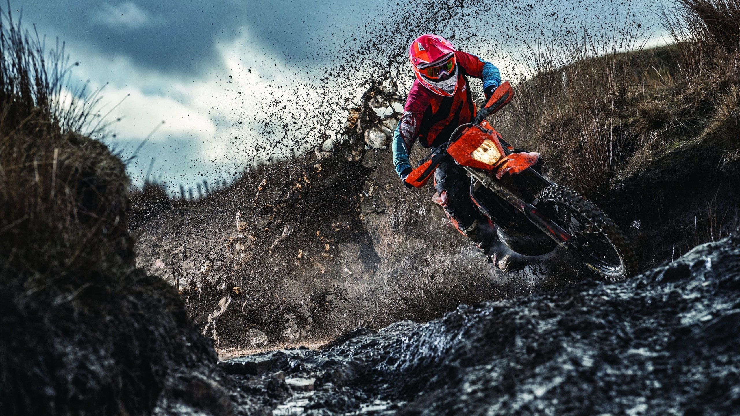 世界杯后勤保障细节被媒体披露引发点赞,世界杯的最后一名